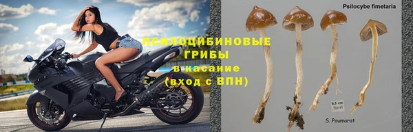 кокс Гусиноозёрск
