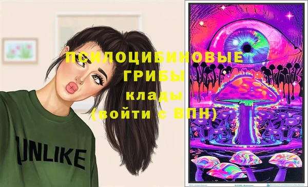 spice Гусь-Хрустальный