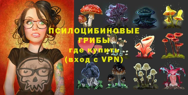 гидропоника Гусев