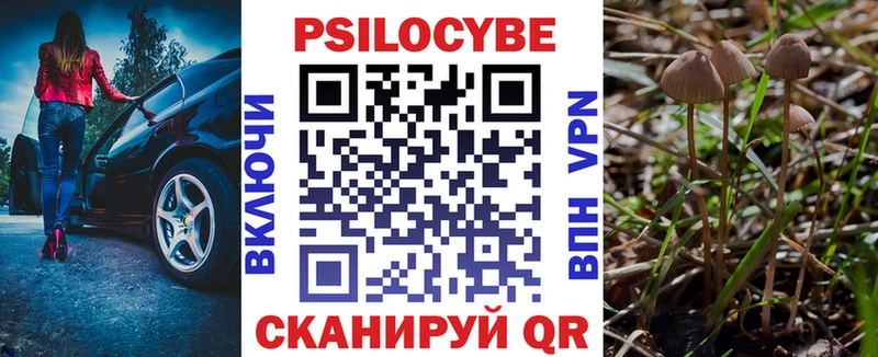 Купить  Братск  Галлюциногенные грибы мухоморы 